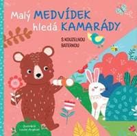 Malý medvídek hledá kamarády - autor neuvedený 1