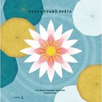Krása tvarů světa - Renee Hao, Soledad Romero Marino