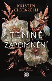 Temné zapomnění - Kristen Ciccarelli