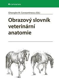 Obrazový slovník veterinární anatomie - Gheorghe Constantinescu M.