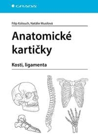 Anatomické kartičky - Filip Kolouch, Natálie Musilová