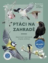 Ptáci na zahradě - autor neuvedený 1