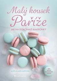 Malý kousek Paříže - Adéla Mervartová 1