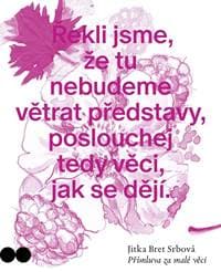 Přímluva za malé věci - Bret Srbová Jitka