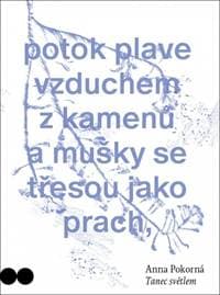 Tanec světlem - Pokorná Anna 1