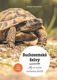 Suchozemské želvy - Wilmsová Svenja 1