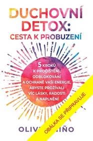 Duchovní detox Cesta k probuzení - Oliver Nino 1