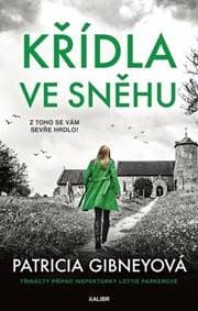 Křídla ve sněhu - Patricia Gibney