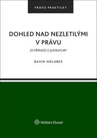 Dohled nad nezletilými v právu - David Holubec 1