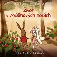 Audiokniha Život v Malinových horách - Lukáš Cabala