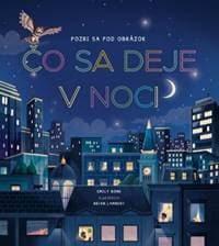 Pozri sa pod obrázok - Čo sa deje v noci - Bone Emily