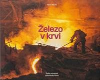 Železo v krvi - Viktor Mácha 1