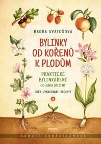Bylinky od kořenů k plodům - Radka Svatošová 1
