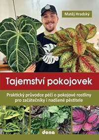Tajemství pokojovek - Matěj Hradský 1