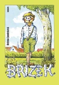 Břízek - Helena Jandeková 1
