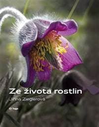 Ze života rostlin - Jiřina Zieglerová 1