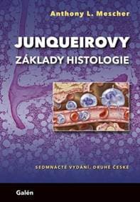 Junqueirovy základy histologie - Anthony L. Mescher 1