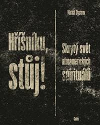 Hříšníku, stůj! - Michal Bystrov 1