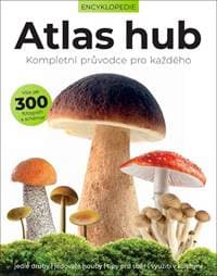 Atlas hub - Liz O’Keefeová 1