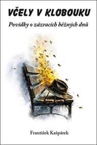 Včely v klobouku - František Kašpárek 1