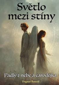 Světlo mezi stíny - Dagmar Bouzid