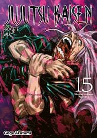 Jujutsu Kaisen - Prokleté války 15: Šibujský incident: Proměna - Akutami Gege