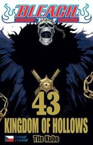 Bleach 43: Kingdom of Hollows - Kubo Tite 1