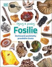 Fosilie - Dean R. Lomax 1