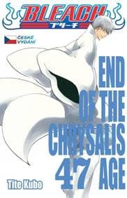 Bleach 47: End Of The Chrysalis Age - Kubo Tite 1