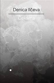 Čekárna - Denica Ilčeva 1