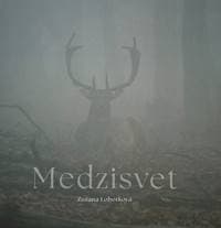 Medzisvet - Zuzana Lobotková 1