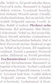 Plechové nebo - Eva Borušovičová 1