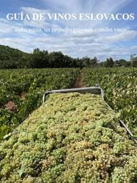 Sprievodca slovenským vínom 2026 (Guiía eslovaca de vinos ) - Kolektív autorov 1