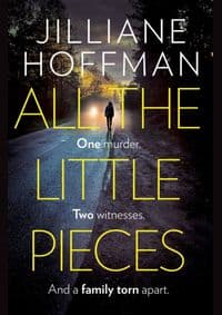 All The Little Pieces - Jilliane Hoffman, HarperCollins Publishers