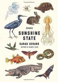 Sunshine State: Essays - Sarah Gerard, Harper Perennial 1