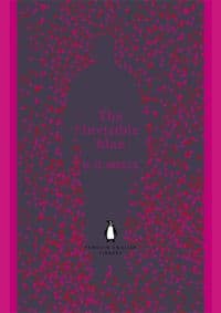 Invisible Man - H. G. Wells, Penguin Books Ltd 1