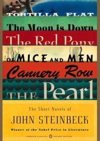 Short Novels of John Steinbeck - Mr John Steinbeck, Penguin Books Ltd