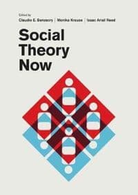 Social Theory Now - Claudio E. Benzecry, Monika Krause, Isaac Ariail Reed, University of Chicago Press
