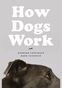 How Dogs Work - autor neuvedený 1