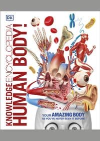 Knowledge Encyclopedia Human Body! - DK, Dorling Kindersley Ltd 1
