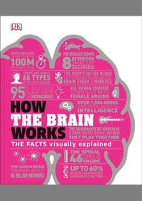 How the Brain Works - autor neuvedený