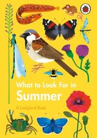 What to Look For in Summer - autor neuvedený 1
