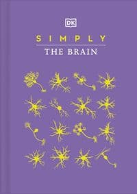 Simply The Brain - autor neuvedený