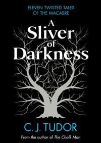 A Sliver of Darkness - Tudorová C. J. 1