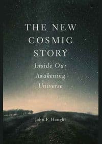 New Cosmic Story - John F. Haught, Yale University Press