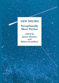 New Micro Exceptionally Short Fiction - autor neuvedený 1