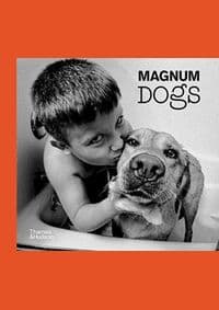 Magnum Dogs - autor neuvedený 1