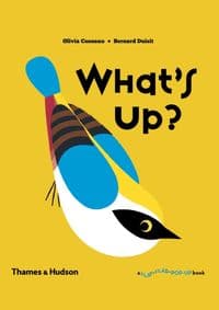 Whats Up - Olivia Cosneau, Bernard Duisit, Thames & Hudson Ltd 1