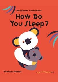 How Do You Sleep - Olivia Cosneau, Bernard Duisit, Thames & Hudson 1