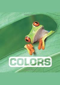 Colors - Marie Vendittelli, Houghton Mifflin 1